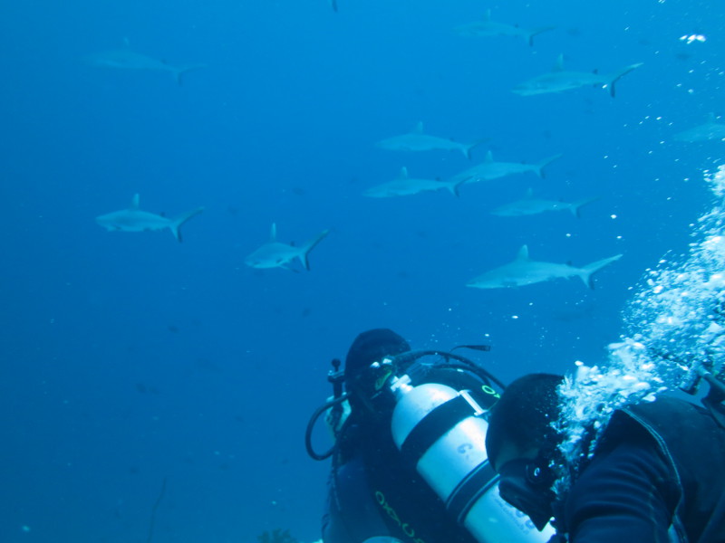 Maldives - April 2019